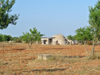Holiday house Villetti Trullissimo Marchese - Environment photo 25