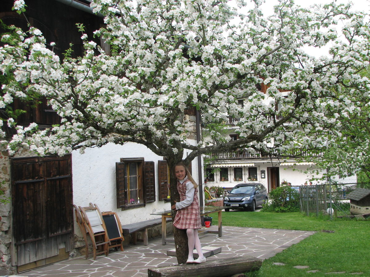 Holiday apartment Höllengebirge - Outdoor photo 5