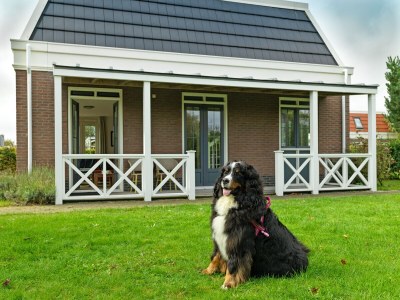 Holiday house Tulp & Zee - Outdoor photo 5