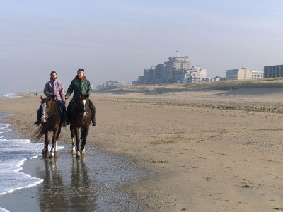 Holiday house Tulp & Zee - Environment photo 21