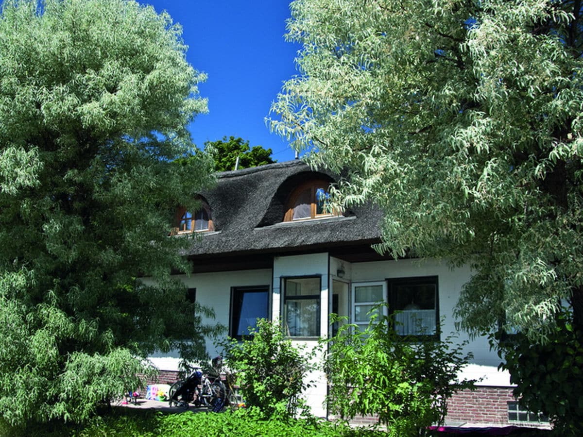 Holiday apartment Holiday apartment in a thatched house by the beach. - Outdoor photo 2