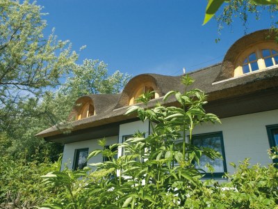 Holiday apartment Holiday apartment in a thatched house by the beach. - Outdoor photo 3