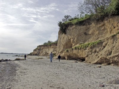 Holiday apartment - Mobile home "Sumba" - Environment photo 12