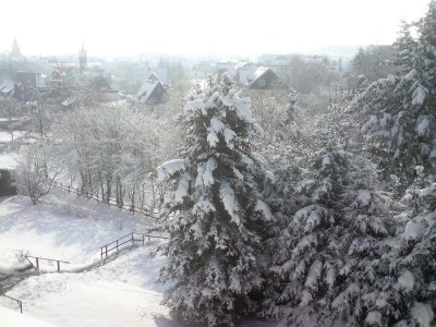 Holiday apartment Debray - Environment photo 16