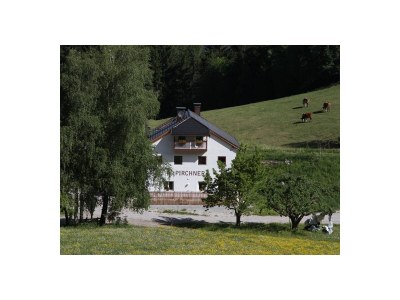 Holiday apartment Pirchner - Outdoor photo 7