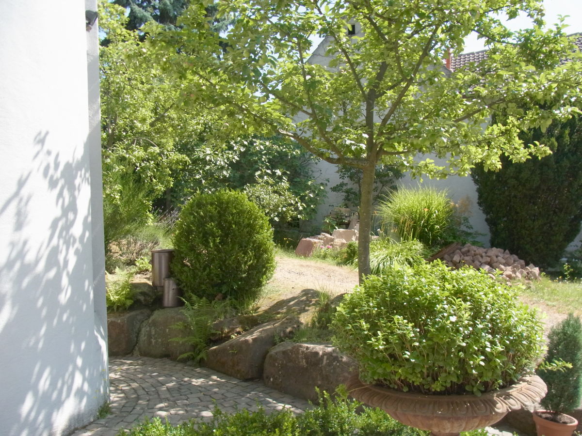 Holiday apartment Pfaelzerleben (Palatinate experience) - Outdoor photo 3