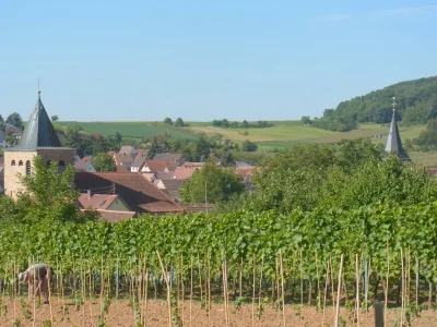 Holiday apartment Pfaelzerleben (Palatinate experience) - Environment photo 14