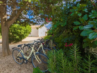 Finca Ref. 180 - Outdoor photo 10