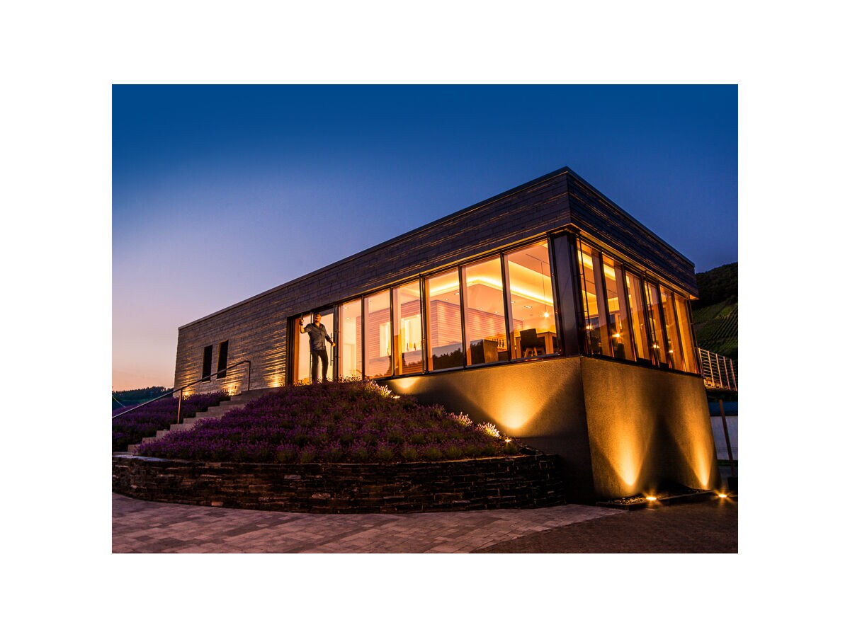 Holiday apartment Moselperle 1 Vineyard - Outdoor photo 4
