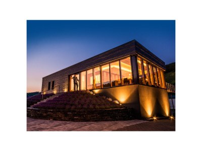 Holiday apartment Moselperle 1 Vineyard - Outdoor photo 4