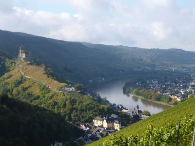 Holiday apartment Moselperle 1 Vineyard - Environment photo 24