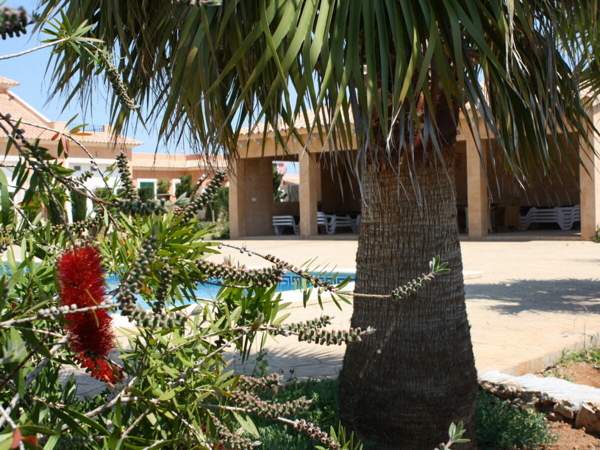 Holiday house Yacaranda - Outdoor photo 5