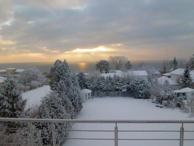 Holiday apartment Guesthouse "Vogelsang" - Outdoor photo 9