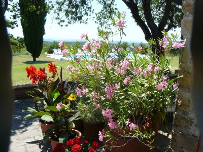 Holiday apartment Casa Infantino - Outdoor photo 13