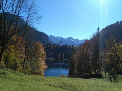 Holiday apartment Wiesenblick - the Herb family. - Features photo 32