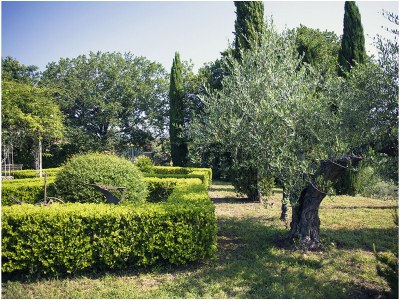 Holiday house Casa Ramerino - Outdoor photo 6