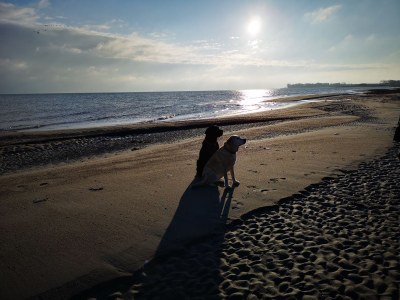 Holiday house Strand-Liebe - Environment photo 28