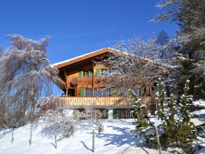 Chalet Chalet am Brüggli - Outdoor photo 6