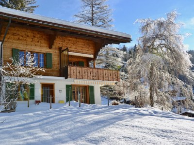 Chalet Chalet am Brüggli - Outdoor photo 7